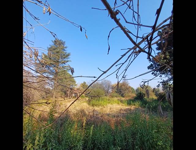 4,006M² VACANT LAND FOR SALE IN HIGHBURY